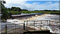 NS3139 : On the Ayrshire Coast Path at Irvine - weir below Irvine Meadow by Colin Park