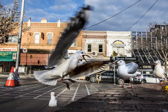 Summer Hill shopping strip which is full of small businesses.
26th August 2021
Photo: Steven Siewert