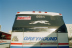 Greyhound buses: You get what you pay for in the  US.