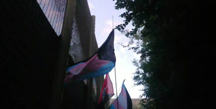 A picture aimed up in the air, three flags are visable along side the high fence of a prison wall on the left, and trees and bushes to the right. The flags are two 'trans anarchist' flags, and one red and black anarchist federation flag