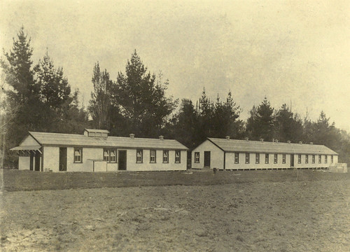 Weraroa State Farm for religious objectors, 1918-1919 | by Archives New Zealand