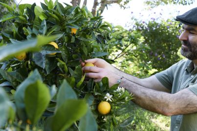 Joseph Abboud: From high school dropout to celebrated chef