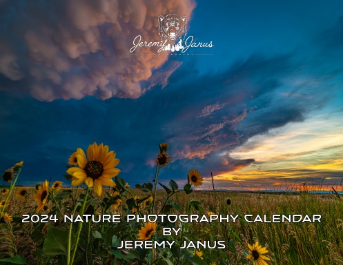 2024 Nature Photography Calendar