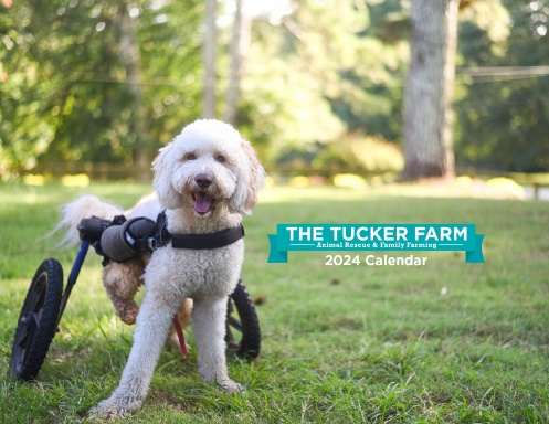 The Tucker Farm 2024