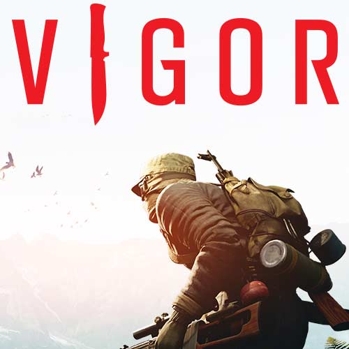 Vigor Hub