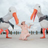 Festival director Olivia Ansell surrenders her hot chips to two of the giant seagull puppets that will be roaming around the city over the course of the festival.