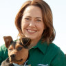 ABC News Breakfast co-host Lisa Millar returns to narrate season two of Muster Dogs.