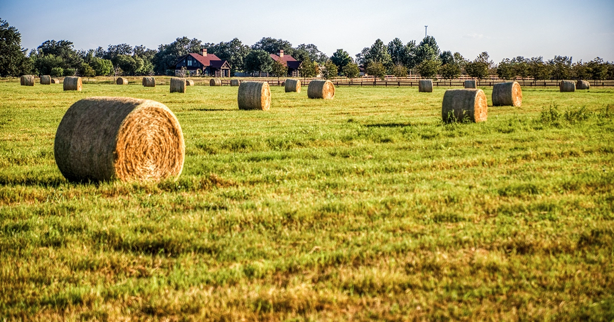 Two Creeks Ranch, Texas, Hood Real Estate Inc.