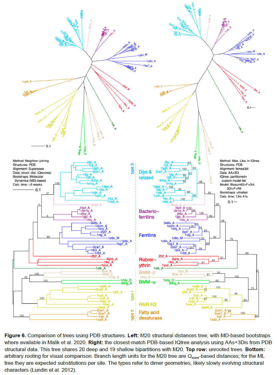 [Figure 1 of Puente-Lelievre, Matzke et al. 2023, Tertiary-interaction characters enable fast, model-based structural phylogenetics beyond the twilight zone, bioRxiv]