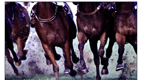 Racing returns to Dubbo on Monday for an eight-race meeting.