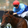 Tim Clark rides Prost to victory in the Canonbury Stakes on Saturday.