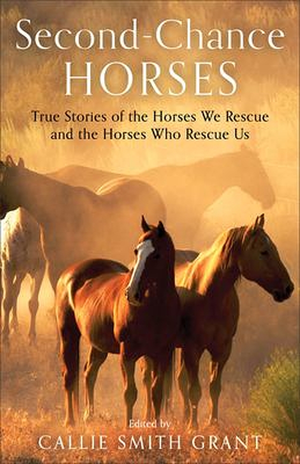 Second-Chance Horses: True Stories of the Horses We Rescue and the Horses Who Rescue Us