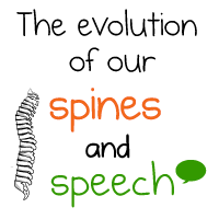 The evolution of our spines and speech