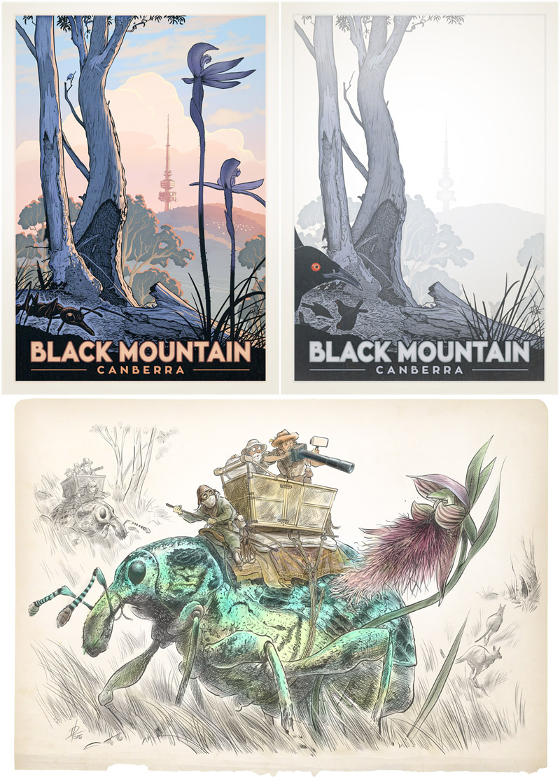 Drawings of Black Mountain