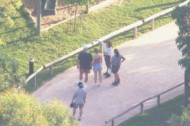 Look what you made me Zoo! Taylor Swift and Travis Kelce visit their favourite spot in Sydney, Sydney Zoo!