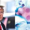 'Chlamydia Is More Popular Than Trump' Among White Women