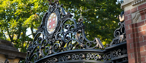 Brown University hero