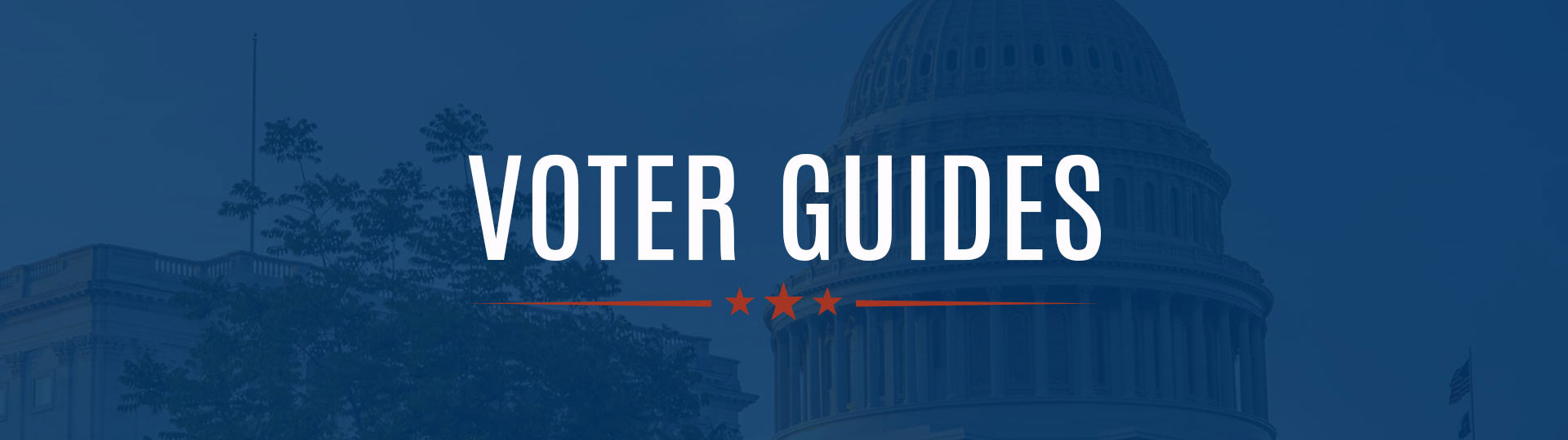 Voter Guides