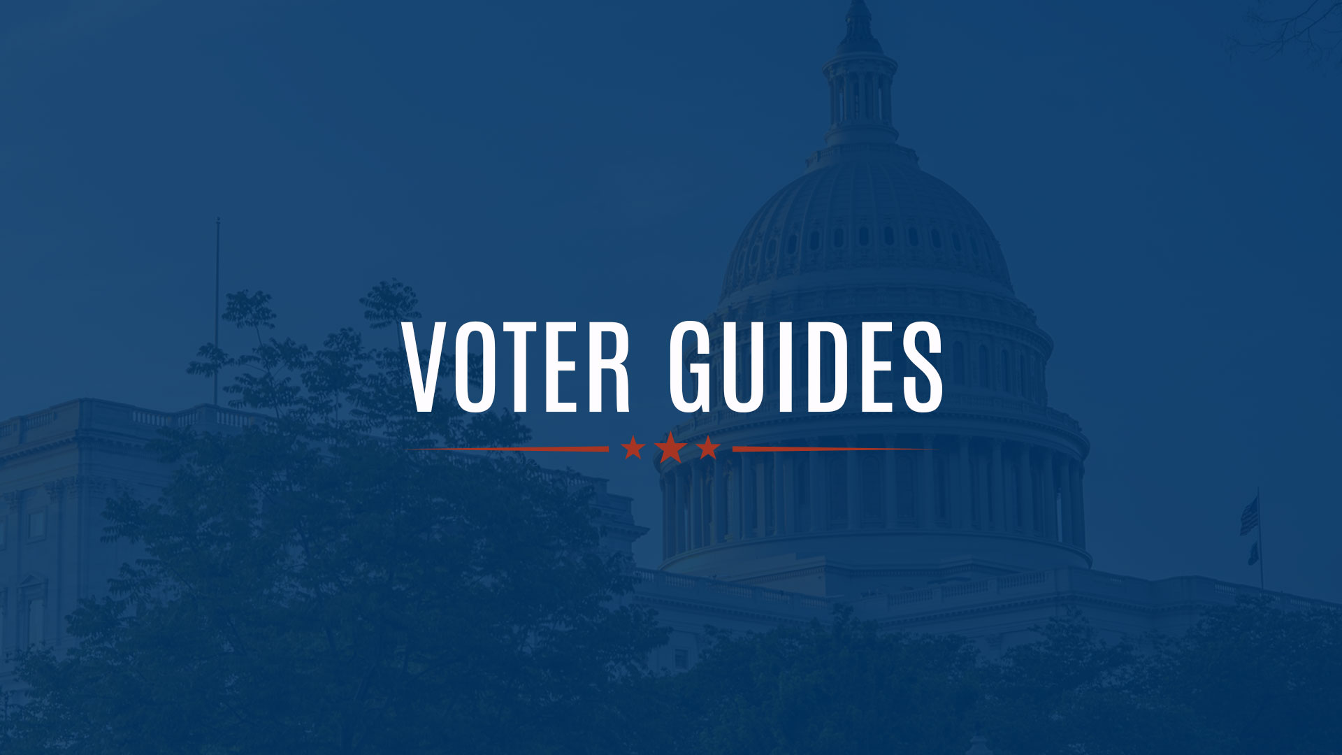 Voter Guides