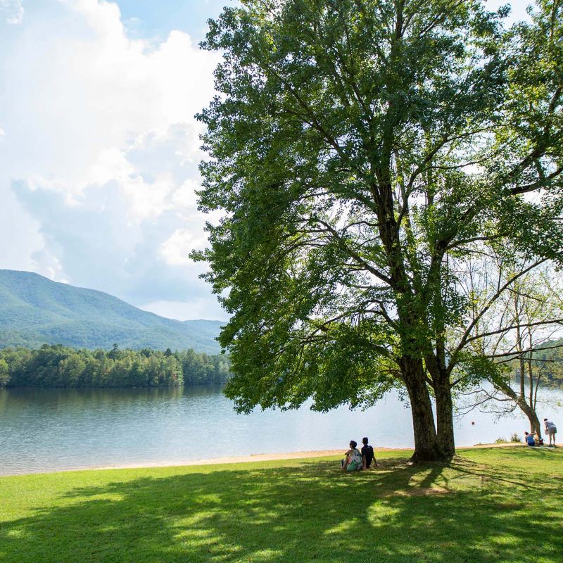 A couple observes a lake while sitting in the shade of a large tree.