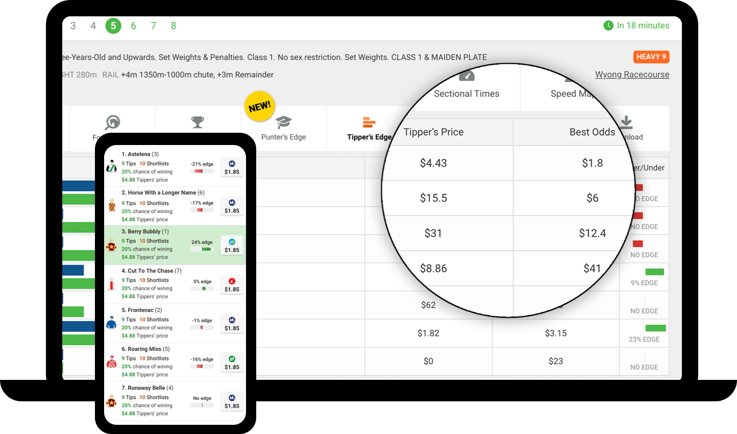 Compare Tipper's Edge odds with the bookies