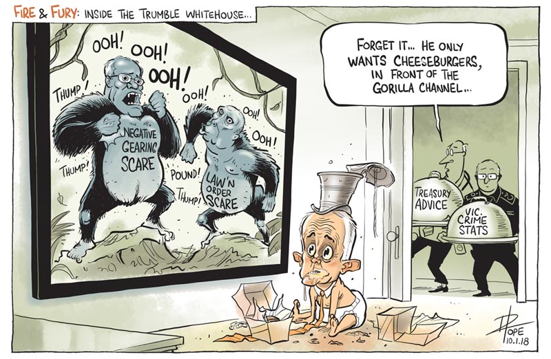 Cartoon: inside the Trumble whitehouse