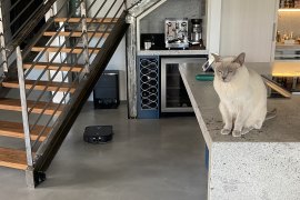 Marvin the robot vacuum cleaner, left, heads back to base as Soda the cat keeps a respectful distance.