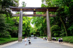 The torii gate entrance to Meiji Jingu.