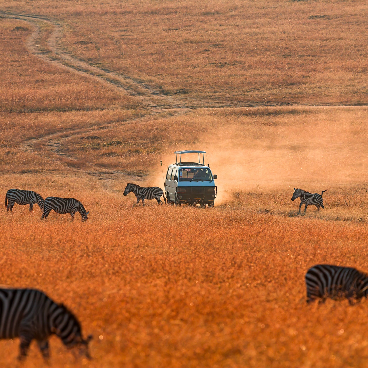 The best time to visit Kenya