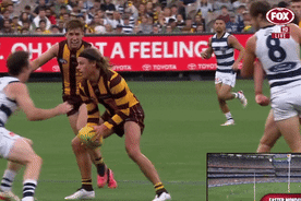 Tony Shaw thought some of the high contact Jack Ginnivan copped was worthy of a free kick.