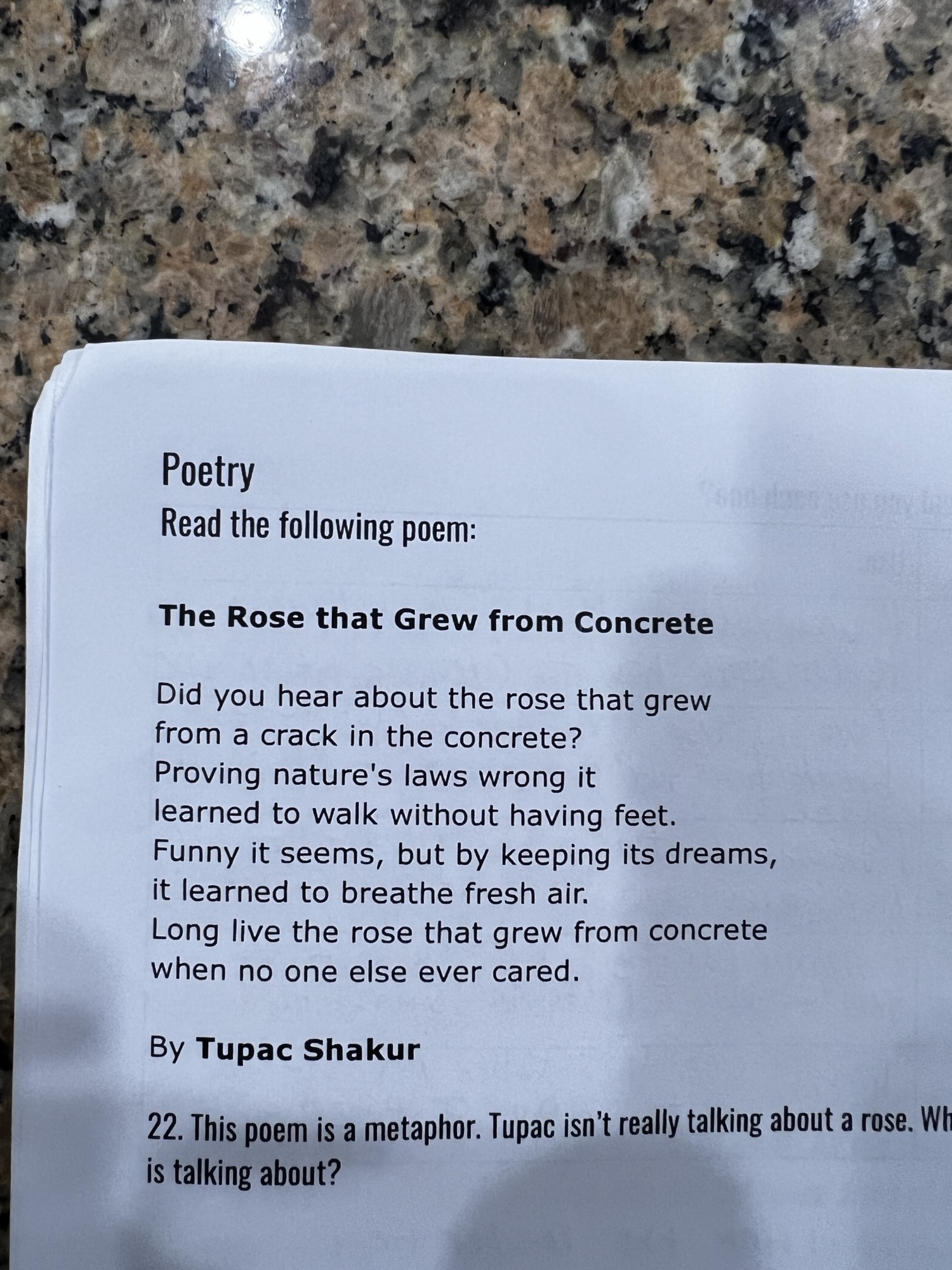 r/mildlyinteresting - My son’s school is teaching metaphor via Tupac’s poetry.