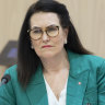 Senator Deborah O’Neill during the Senate hearing.