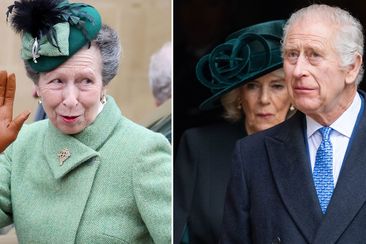 Princess Anne is Charles and Camilla&#x27;s secret weapon