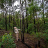 At its heart, Bruce Pascoe’s Black Duck is a love story of both people and Country