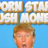 Turns Out Voters Actually Care About Porn Star Hush Money