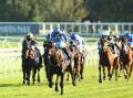 Pride of Jenni demolished the field at Randwick last week. Picture Getty Images