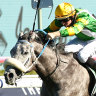 Chain Of Lightning rips clear in the  TJ Smith Stakes at Randwick two weeks ago.