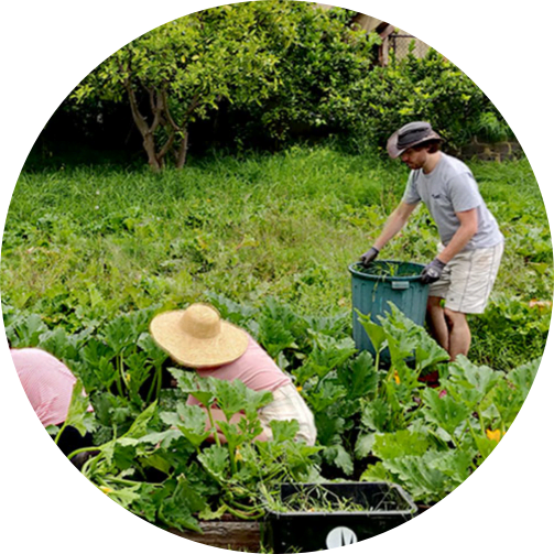 Gardening, people, sun hats, greenery