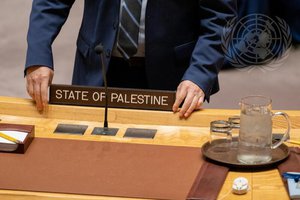 A detailed view at the start of the Security Council meeting on the situation in the Middle East, including the Palestinian question.