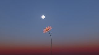 Low angle view of moon against sky at sunset.