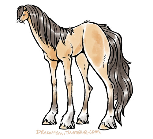 drawing of uhhhhh hm uh a horse?