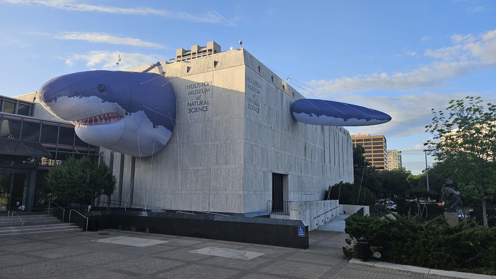 r/sharks - Shark Show at the Houston Museum of Natural Science