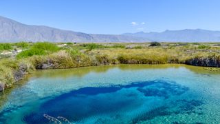 blue water surrounded by grassland and shrubs with blue sky above and mountains in the background.