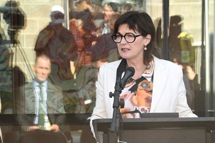 Victorian Health Minister Mary-Anne Thomas highlights the features of Albury hospital's new emergency department before opening the $36 million building on April 4, 2024.