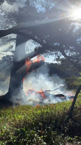 Fire crews respond to blaze at Centennial Park in Beechworth on Sunday, April 14