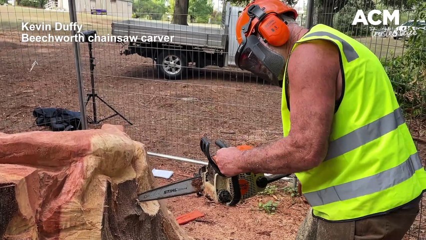 Beechworth chainsaw artist Kevin Duffy