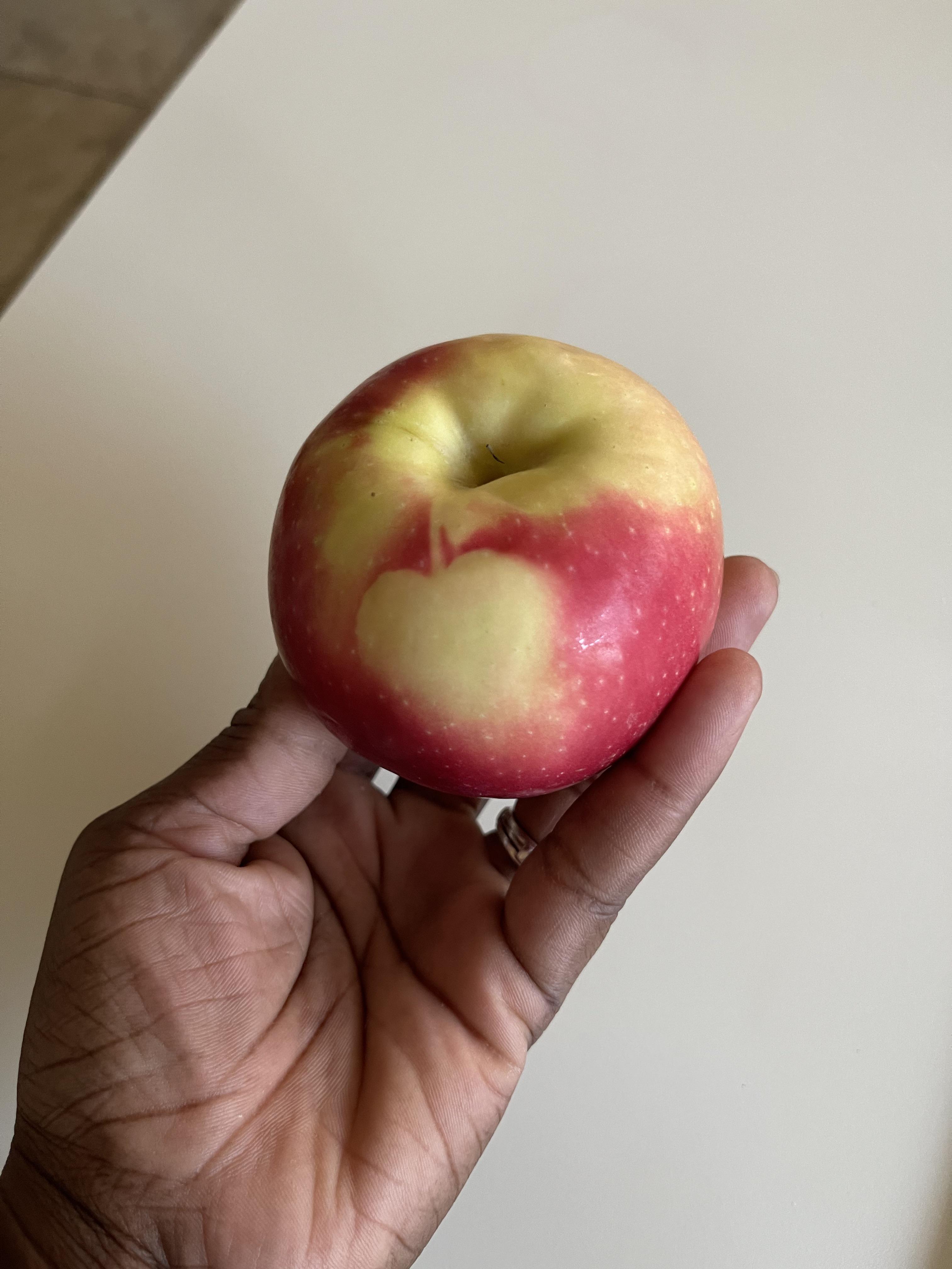 r/mildlyinteresting - My apple has a image of an apple on it!