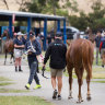 Racing heads to Canterbury on Wednesday.