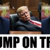 Trump Trial: Week 2 Of Testimony Starts With A Bang!