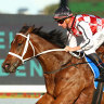 Nash Rawiller gets Waterford home at Rosehill.